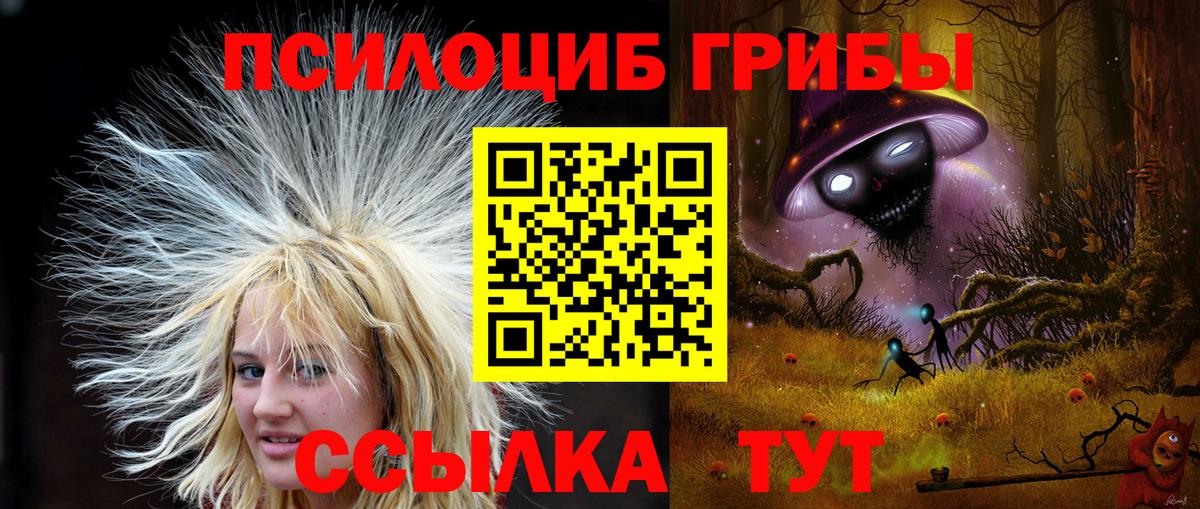 закладка  Галлюциногенные грибы прущие грибы  Вход с VPN  Урус-Мартан 